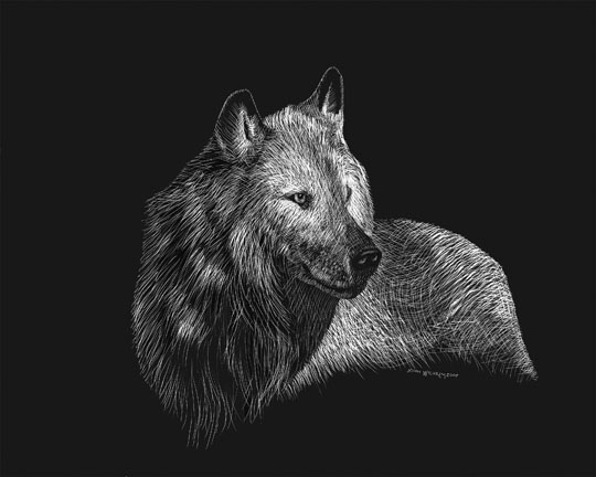 Wolf